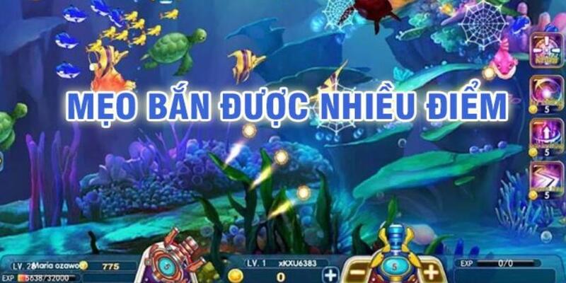 win7 đá gà