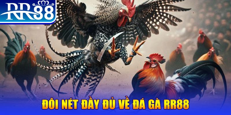 win7 1 slot là gì