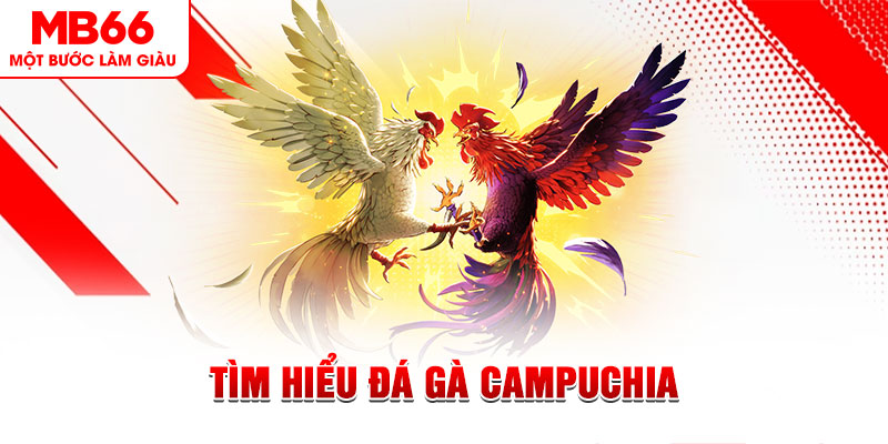 win7 tại sao không tải được nổ hũ