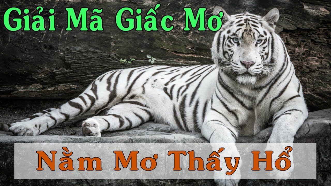 win7 xổ số miền trung