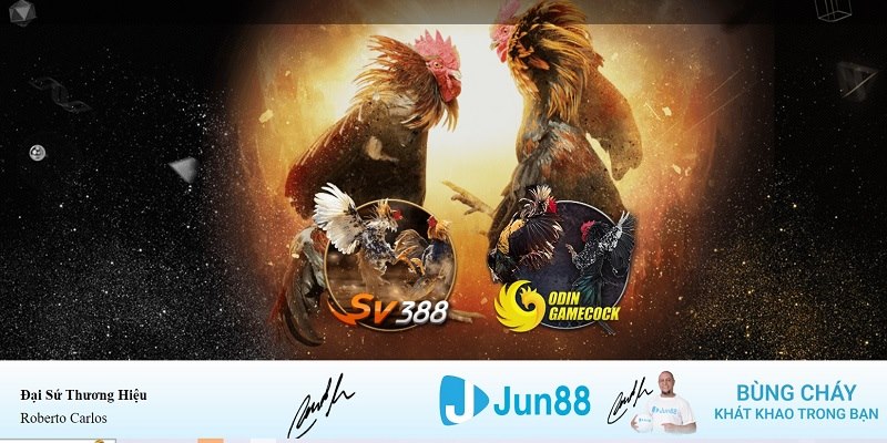 win7 xổ số miền nam hàng tuần