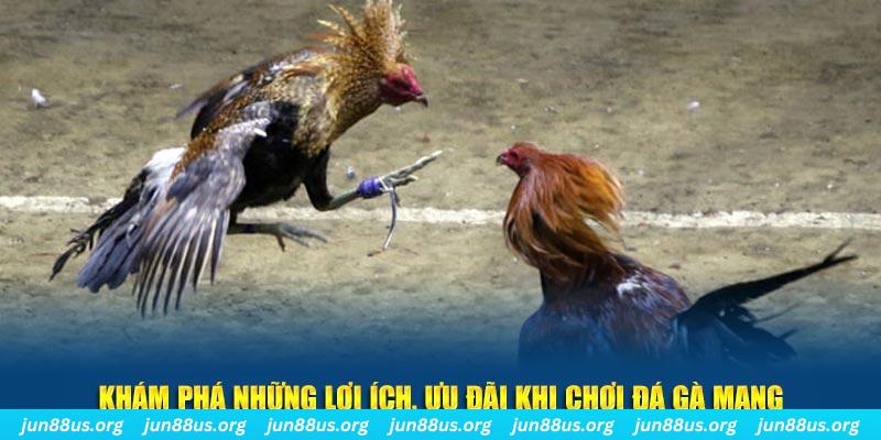 win7 Tài Xỉu 2