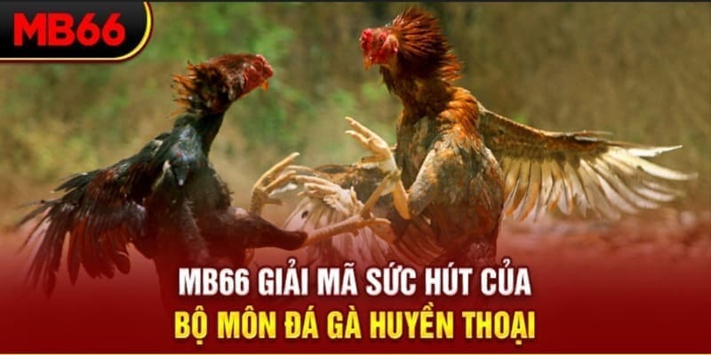 win7 long bảo trong baccarat là gì