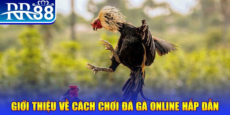win7 nổ hũ 2 mặt là gì