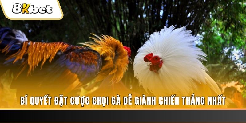 win7 may club nổ hũ