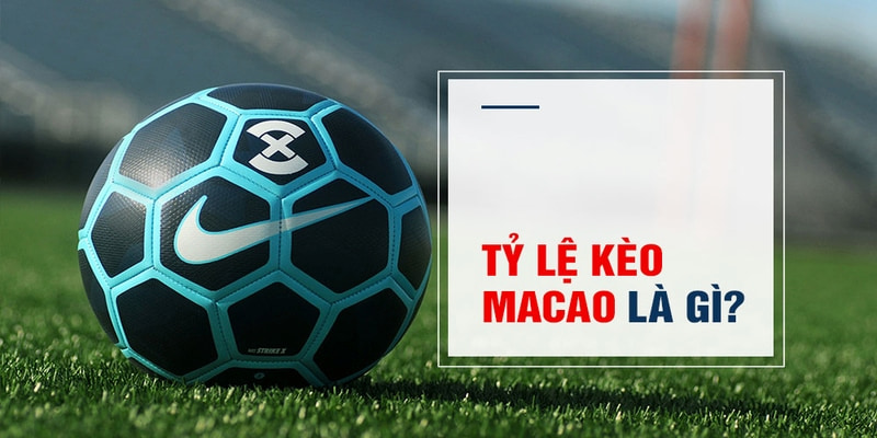 win7 Trăm Knorr
